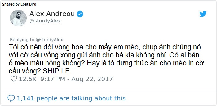 Anh chàng đồng tính bị từ chối cho nhận mèo và hành trình gian nan để tới với các 'boss' Anh chàng đồng tính bị từ chối cho nhận mèo và hành trình gian nan để tới với các 'boss'