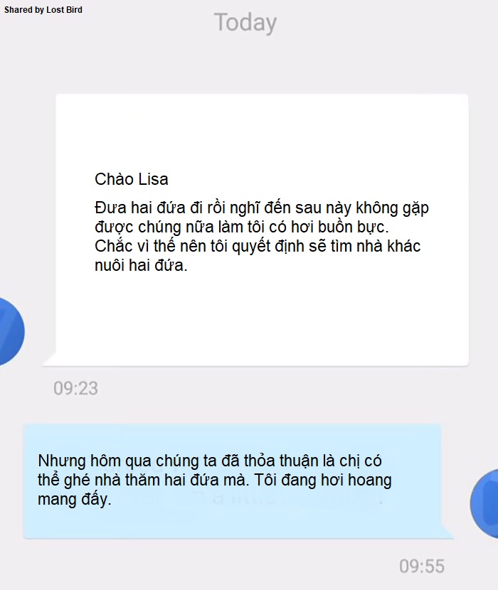 Anh chàng đồng tính bị từ chối cho nhận mèo và hành trình gian nan để tới với các 'boss' Anh chàng đồng tính bị từ chối cho nhận mèo và hành trình gian nan để tới với các 'boss'