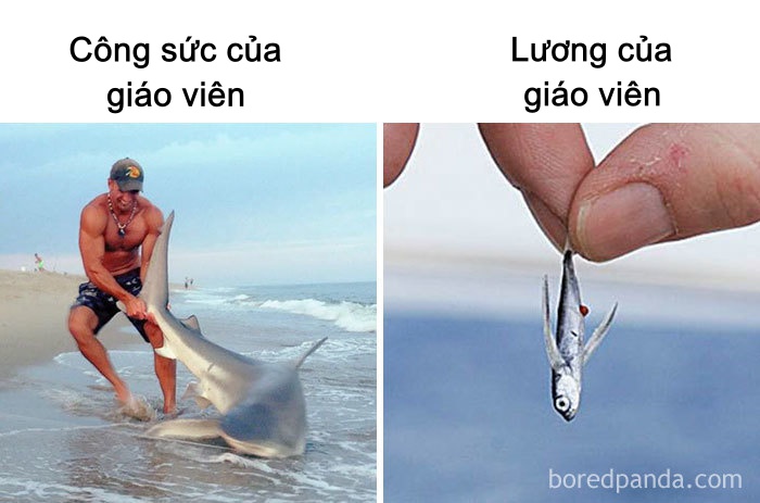 Những nỗi niềm mà chỉ có người làm nghề giáo mới thấm thía Những nỗi niềm mà chỉ có người làm nghề giáo mới thấm thía
