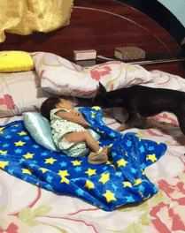 Loạt ảnh chứng minh tình yêu vô điều kiện của những chú chó đối với chủ của mình Loạt ảnh chứng minh tình yêu vô điều kiện của những chú chó đối với chủ của mình