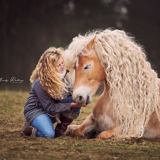 Ngắm nhìn nàng ngựa sở hữu mái tóc đẹp quý phái như Rapunzel Ngắm nhìn nàng ngựa sở hữu mái tóc đẹp quý phái như Rapunzel