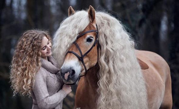 Ngắm nhìn nàng ngựa sở hữu mái tóc đẹp quý phái như Rapunzel Ngắm nhìn nàng ngựa sở hữu mái tóc đẹp quý phái như Rapunzel