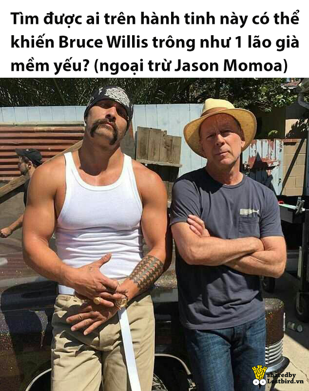Hết Ryan Reynolds, Hollywood có thêm 'thánh lầy' mới là 'vua biển' Jason Momoa Hết Ryan Reynolds, Hollywood có thêm 'thánh lầy' mới là 'vua biển' Jason Momoa