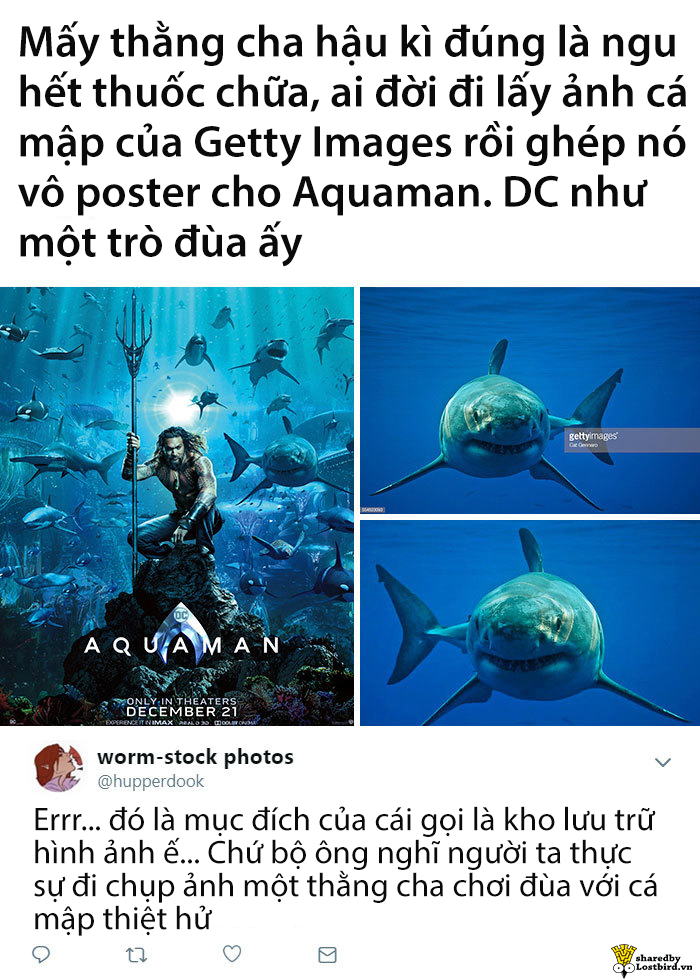 Hết Ryan Reynolds, Hollywood có thêm 'thánh lầy' mới là 'vua biển' Jason Momoa Hết Ryan Reynolds, Hollywood có thêm 'thánh lầy' mới là 'vua biển' Jason Momoa