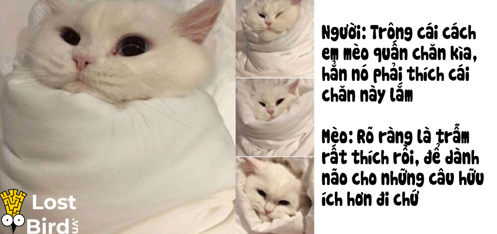 Từ điển tiếng Mèo cho các sen cuồng boss cuối cùng cũng ra mắt Từ điển tiếng Mèo cho các sen cuồng boss cuối cùng cũng ra mắt