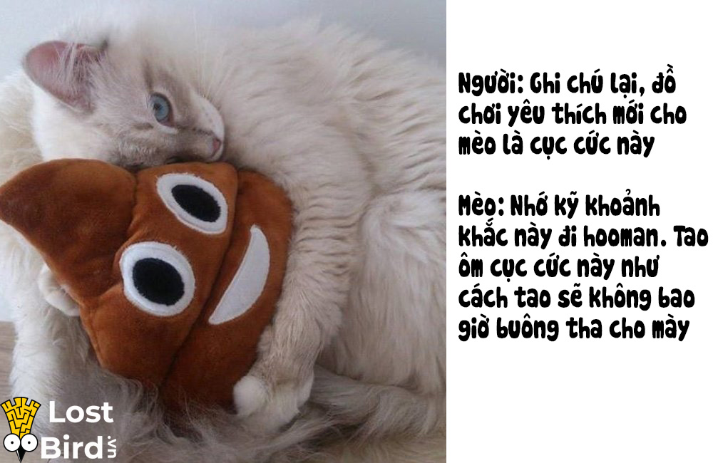 Từ điển tiếng Mèo cho các sen cuồng boss cuối cùng cũng ra mắt Từ điển tiếng Mèo cho các sen cuồng boss cuối cùng cũng ra mắt