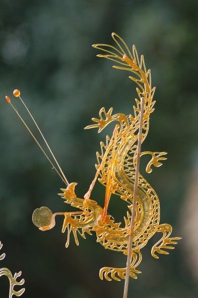 10 món ăn vặt hấp dẫn nhất hành tinh: Chưa ăn hết là chưa hưởng thụ đủ mùi vị thiên đường 10 món ăn vặt hấp dẫn nhất hành tinh: Chưa ăn hết là chưa hưởng thụ đủ mùi vị thiên đường