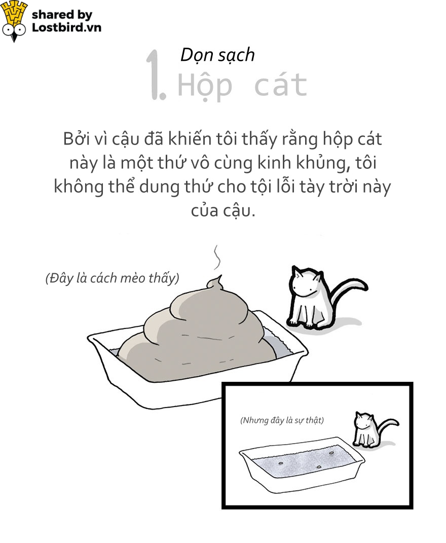Hãy xem loài mèo trịch thượng và vô lý thế nào trong bức tâm thư chúng gửi cho ta Hãy xem loài mèo trịch thượng và vô lý thế nào trong bức tâm thư chúng gửi cho ta