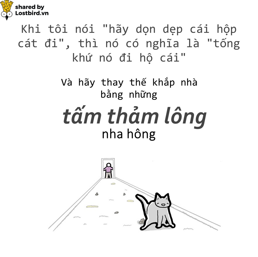 Hãy xem loài mèo trịch thượng và vô lý thế nào trong bức tâm thư chúng gửi cho ta Hãy xem loài mèo trịch thượng và vô lý thế nào trong bức tâm thư chúng gửi cho ta