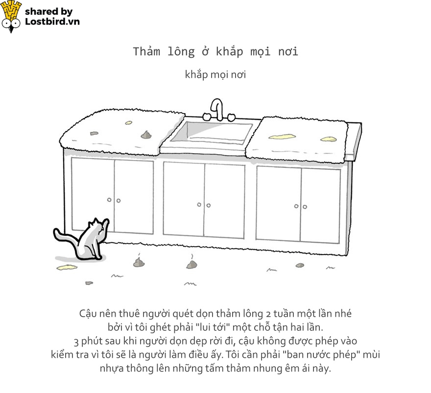 Hãy xem loài mèo trịch thượng và vô lý thế nào trong bức tâm thư chúng gửi cho ta Hãy xem loài mèo trịch thượng và vô lý thế nào trong bức tâm thư chúng gửi cho ta