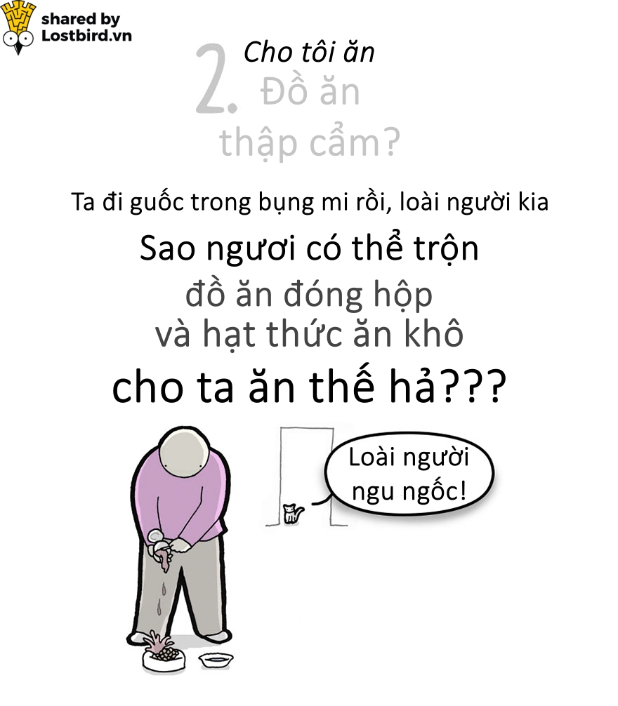 Hãy xem loài mèo trịch thượng và vô lý thế nào trong bức tâm thư chúng gửi cho ta Hãy xem loài mèo trịch thượng và vô lý thế nào trong bức tâm thư chúng gửi cho ta