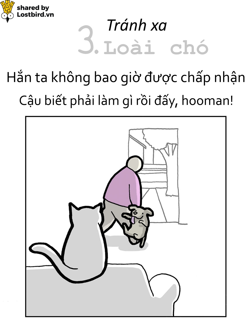 Hãy xem loài mèo trịch thượng và vô lý thế nào trong bức tâm thư chúng gửi cho ta Hãy xem loài mèo trịch thượng và vô lý thế nào trong bức tâm thư chúng gửi cho ta