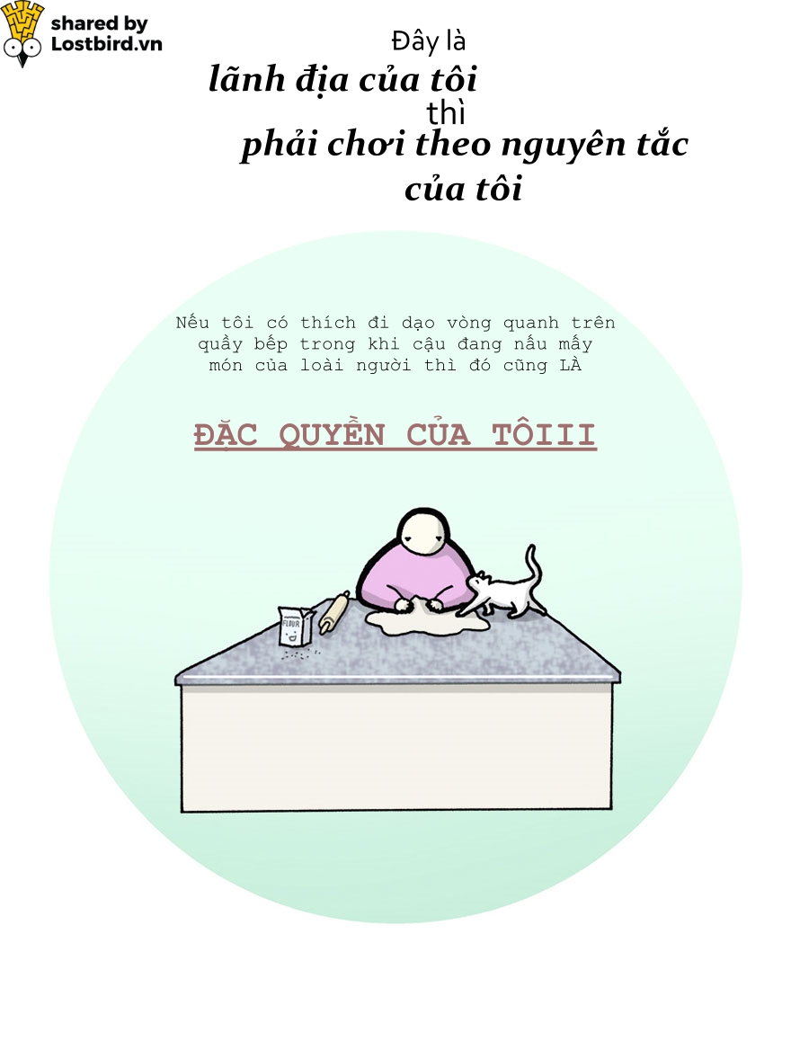 Hãy xem loài mèo trịch thượng và vô lý thế nào trong bức tâm thư chúng gửi cho ta Hãy xem loài mèo trịch thượng và vô lý thế nào trong bức tâm thư chúng gửi cho ta