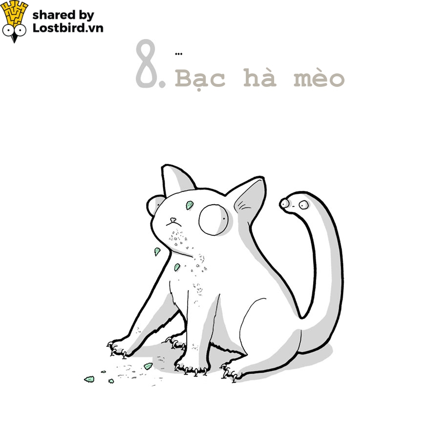 Hãy xem loài mèo trịch thượng và vô lý thế nào trong bức tâm thư chúng gửi cho ta Hãy xem loài mèo trịch thượng và vô lý thế nào trong bức tâm thư chúng gửi cho ta