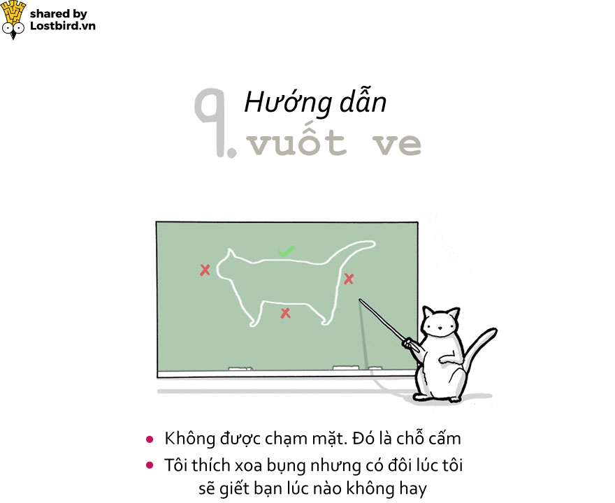 Hãy xem loài mèo trịch thượng và vô lý thế nào trong bức tâm thư chúng gửi cho ta Hãy xem loài mèo trịch thượng và vô lý thế nào trong bức tâm thư chúng gửi cho ta