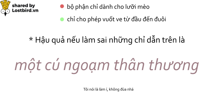 Hãy xem loài mèo trịch thượng và vô lý thế nào trong bức tâm thư chúng gửi cho ta Hãy xem loài mèo trịch thượng và vô lý thế nào trong bức tâm thư chúng gửi cho ta