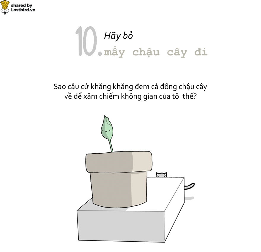 Hãy xem loài mèo trịch thượng và vô lý thế nào trong bức tâm thư chúng gửi cho ta Hãy xem loài mèo trịch thượng và vô lý thế nào trong bức tâm thư chúng gửi cho ta