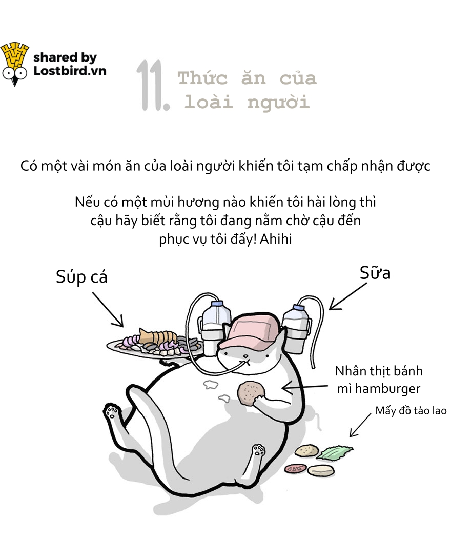 Hãy xem loài mèo trịch thượng và vô lý thế nào trong bức tâm thư chúng gửi cho ta Hãy xem loài mèo trịch thượng và vô lý thế nào trong bức tâm thư chúng gửi cho ta