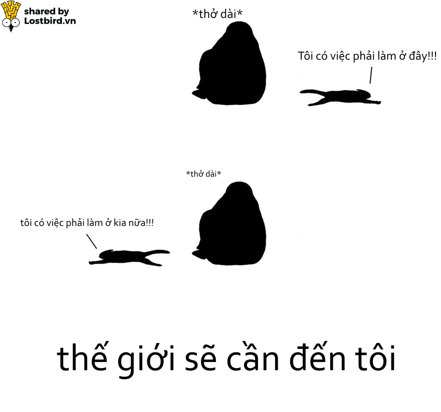 Hãy xem loài mèo trịch thượng và vô lý thế nào trong bức tâm thư chúng gửi cho ta Hãy xem loài mèo trịch thượng và vô lý thế nào trong bức tâm thư chúng gửi cho ta
