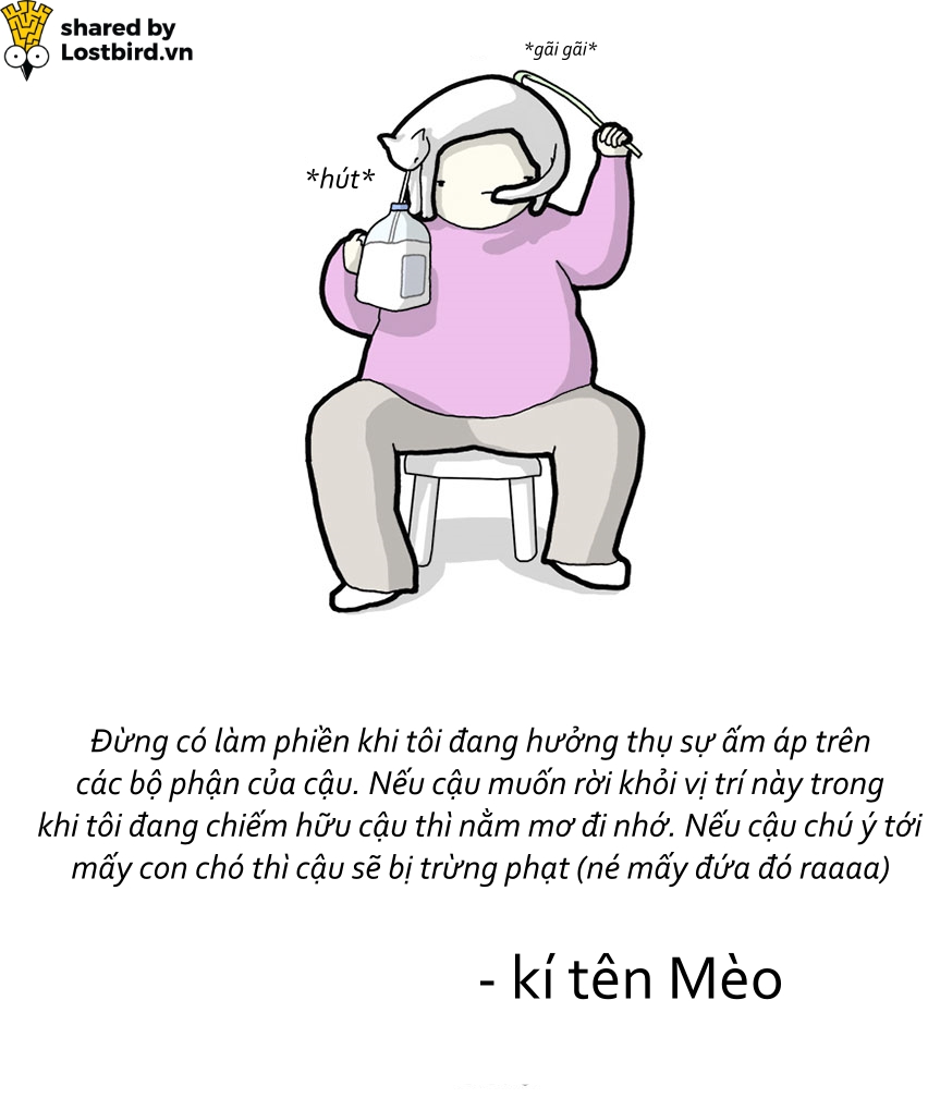 Hãy xem loài mèo trịch thượng và vô lý thế nào trong bức tâm thư chúng gửi cho ta Hãy xem loài mèo trịch thượng và vô lý thế nào trong bức tâm thư chúng gửi cho ta