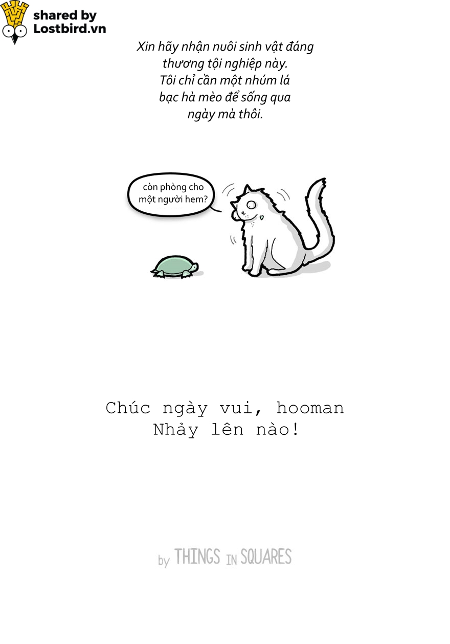 Hãy xem loài mèo trịch thượng và vô lý thế nào trong bức tâm thư chúng gửi cho ta Hãy xem loài mèo trịch thượng và vô lý thế nào trong bức tâm thư chúng gửi cho ta