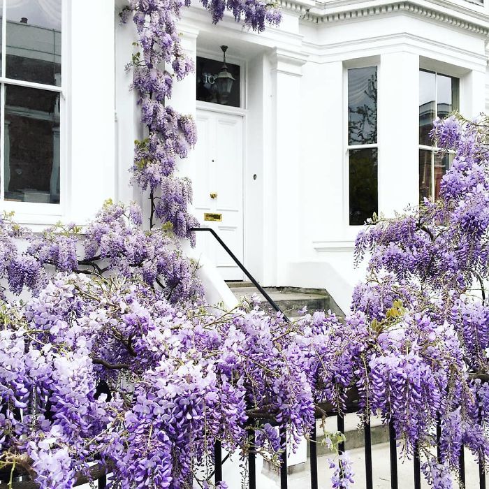 Những cánh cửa đẹp thần tiên ở London khiến ta như lạc lối trong phim của Wes Anderson Những cánh cửa đẹp thần tiên ở London khiến ta như lạc lối trong phim của Wes Anderson