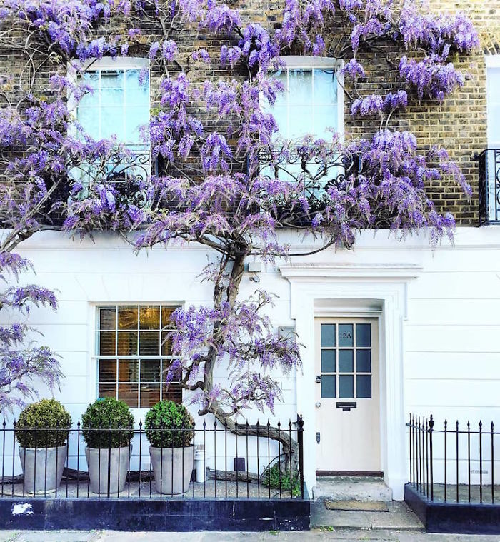Những cánh cửa đẹp thần tiên ở London khiến ta như lạc lối trong phim của Wes Anderson Những cánh cửa đẹp thần tiên ở London khiến ta như lạc lối trong phim của Wes Anderson