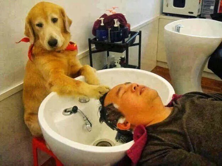 22 khoảnh khắc muốn 'tiến hoá' của thú cưng khiến con người hốt hoảng 22 khoảnh khắc muốn 'tiến hoá' của thú cưng khiến con người hốt hoảng