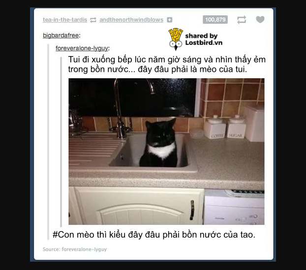 Những meme 'mặn mà' trên Tumblr cho thấy đây chính là MXH 'nhiều muối' nhất Internet Những meme 'mặn mà' trên Tumblr cho thấy đây chính là MXH 'nhiều muối' nhất Internet