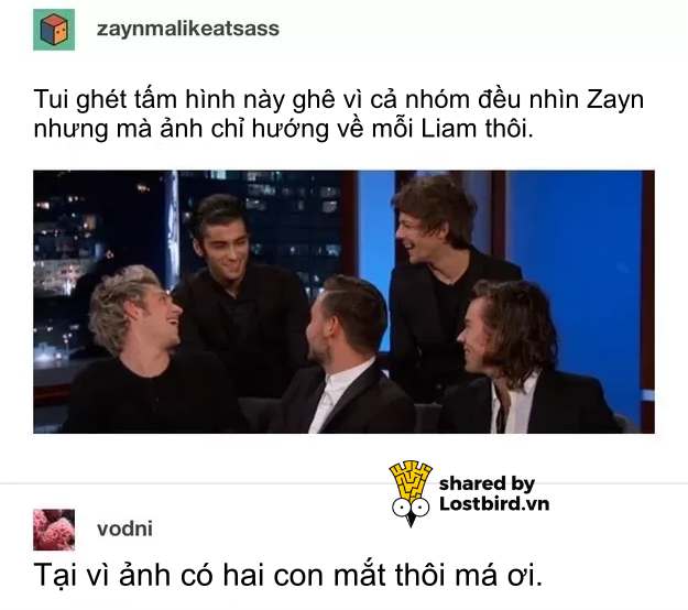 Những meme 'mặn mà' trên Tumblr cho thấy đây chính là MXH 'nhiều muối' nhất Internet Những meme 'mặn mà' trên Tumblr cho thấy đây chính là MXH 'nhiều muối' nhất Internet