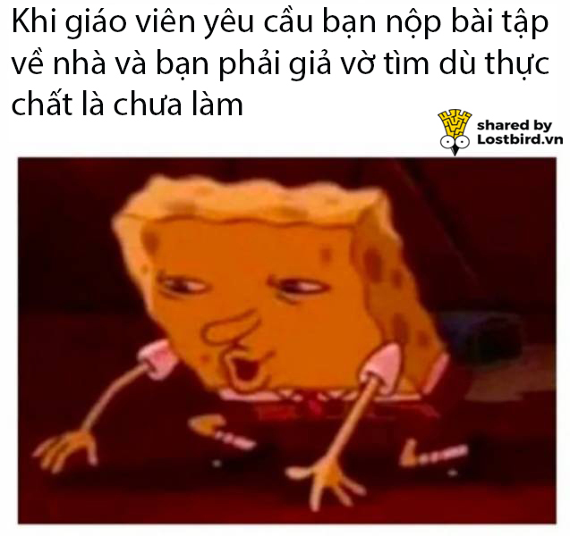 Tuyển tập meme hài hước tái hiện lại những nỗi khổ của học sinh khi đi học Tuyển tập meme hài hước tái hiện lại những nỗi khổ của học sinh khi đi học