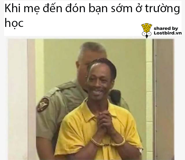 Tuyển tập meme hài hước tái hiện lại những nỗi khổ của học sinh khi đi học Tuyển tập meme hài hước tái hiện lại những nỗi khổ của học sinh khi đi học
