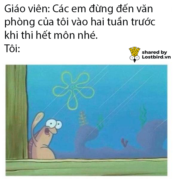 Tuyển tập meme hài hước tái hiện lại những nỗi khổ của học sinh khi đi học Tuyển tập meme hài hước tái hiện lại những nỗi khổ của học sinh khi đi học