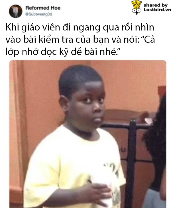 Tuyển tập meme hài hước tái hiện lại những nỗi khổ của học sinh khi đi học Tuyển tập meme hài hước tái hiện lại những nỗi khổ của học sinh khi đi học