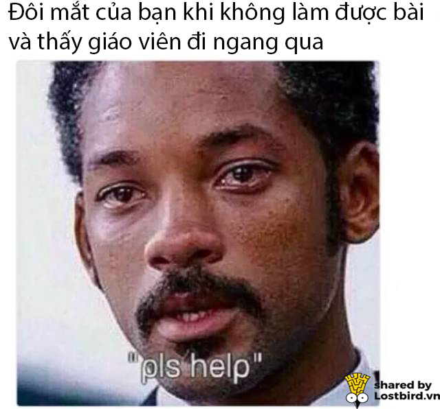 Tuyển tập meme hài hước tái hiện lại những nỗi khổ của học sinh khi đi học Tuyển tập meme hài hước tái hiện lại những nỗi khổ của học sinh khi đi học
