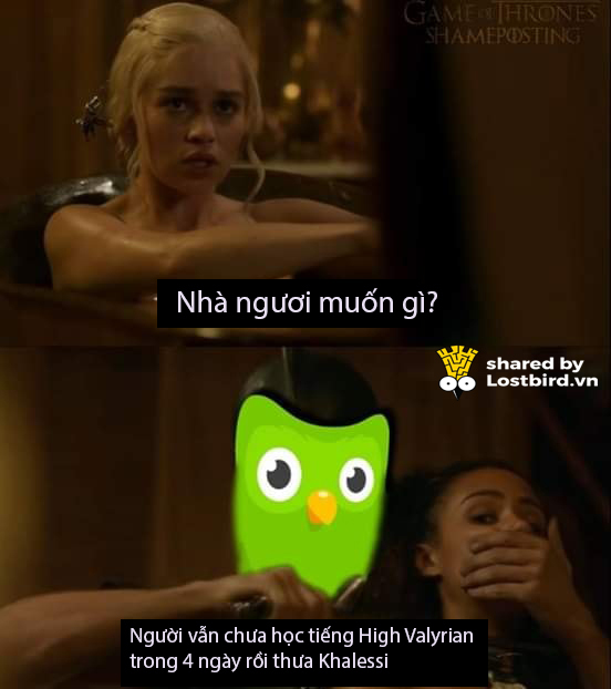 25 meme hài hước về chú cú nhắc học bài của Duolingo 25 meme hài hước về chú cú nhắc học bài của Duolingo