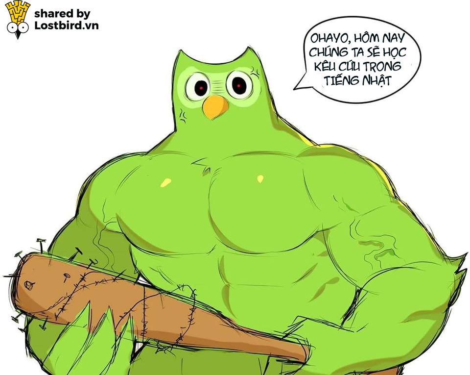 25 meme hài hước về chú cú nhắc học bài của Duolingo 25 meme hài hước về chú cú nhắc học bài của Duolingo
