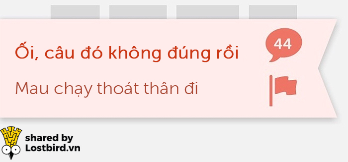 25 meme hài hước về chú cú nhắc học bài của Duolingo 25 meme hài hước về chú cú nhắc học bài của Duolingo