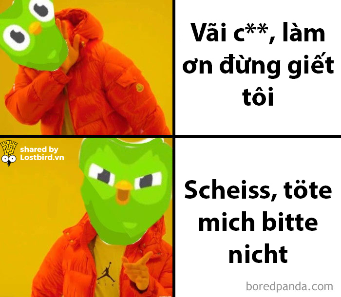 25 meme hài hước về chú cú nhắc học bài của Duolingo 25 meme hài hước về chú cú nhắc học bài của Duolingo