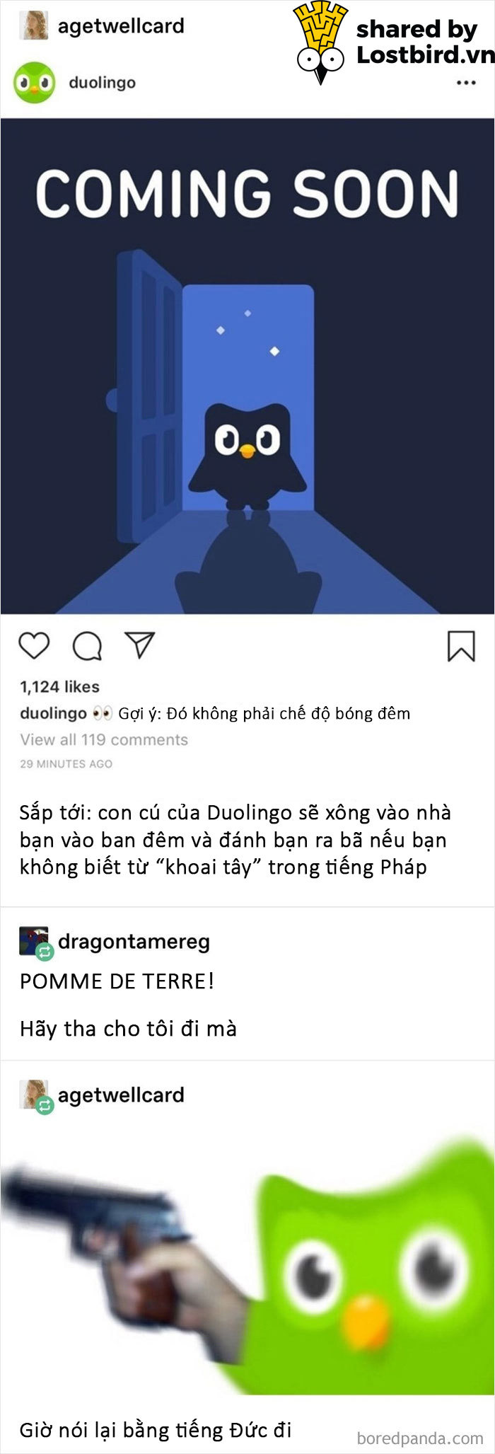 25 meme hài hước về chú cú nhắc học bài của Duolingo 25 meme hài hước về chú cú nhắc học bài của Duolingo
