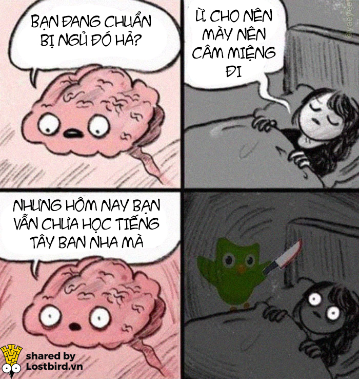25 meme hài hước về chú cú nhắc học bài của Duolingo 25 meme hài hước về chú cú nhắc học bài của Duolingo