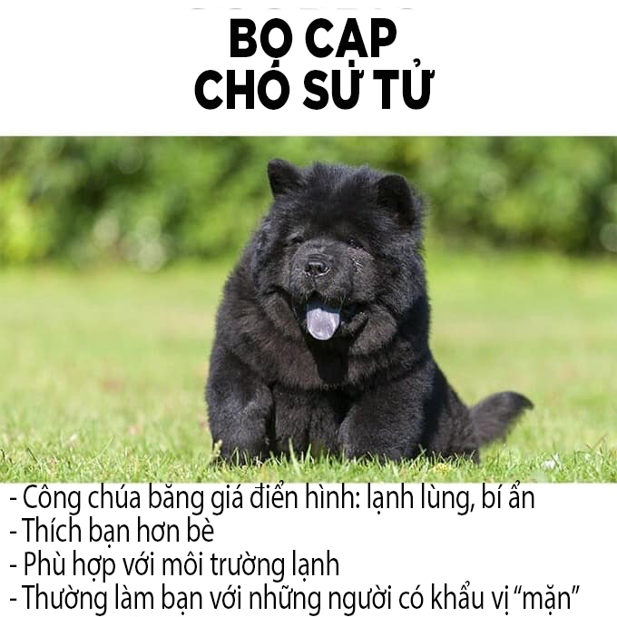 Các chòm sao sẽ tương ứng với giống chó nào? Các chòm sao sẽ tương ứng với giống chó nào?