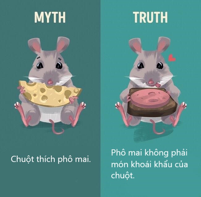 Sửa chữa những định kiến ai cũng tưởng vậy mà không phải vậy (P2) Sửa chữa những định kiến ai cũng tưởng vậy mà không phải vậy (P2)