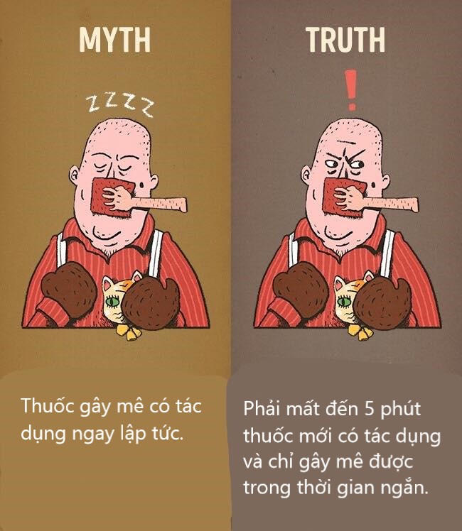 Sửa chữa những định kiến ai cũng tưởng vậy mà không phải vậy (P2) Sửa chữa những định kiến ai cũng tưởng vậy mà không phải vậy (P2)