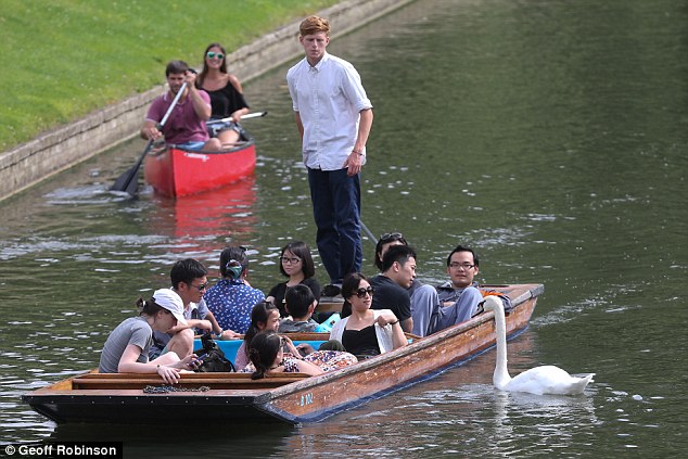 Chiêm ngưỡng gia đình 3 đời thiên nga 'cục súc', bảo kê cả nhánh sông Cambridge Chiêm ngưỡng gia đình 3 đời thiên nga 'cục súc', bảo kê cả nhánh sông Cambridge