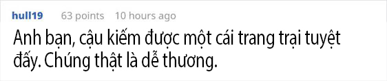 May mắn để đâu cho hết khi được một đàn cáo con dễ thương thế này ghé thăm nhà? May mắn để đâu cho hết khi được một đàn cáo con dễ thương thế này ghé thăm nhà?