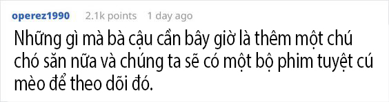 May mắn để đâu cho hết khi được một đàn cáo con dễ thương thế này ghé thăm nhà? May mắn để đâu cho hết khi được một đàn cáo con dễ thương thế này ghé thăm nhà?