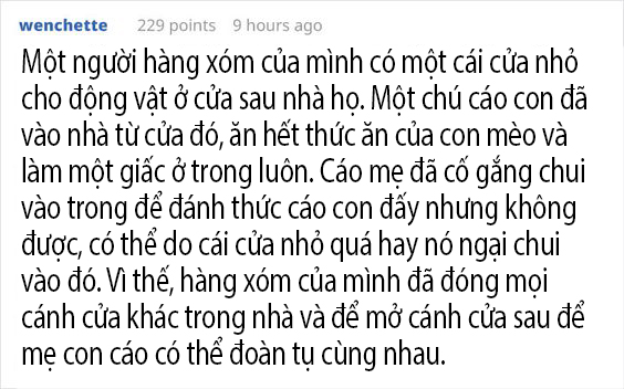 May mắn để đâu cho hết khi được một đàn cáo con dễ thương thế này ghé thăm nhà? May mắn để đâu cho hết khi được một đàn cáo con dễ thương thế này ghé thăm nhà?