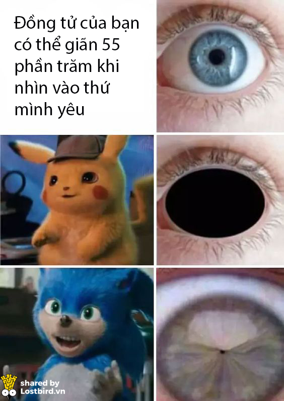Fans ầm ầm phản đối tạo hình thảm hoạ của 'Sonic The Hedgehog' bằng loạt ảnh chế hài hước Fans ầm ầm phản đối tạo hình thảm hoạ của 'Sonic The Hedgehog' bằng loạt ảnh chế hài hước
