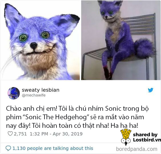 Fans ầm ầm phản đối tạo hình thảm hoạ của 'Sonic The Hedgehog' bằng loạt ảnh chế hài hước Fans ầm ầm phản đối tạo hình thảm hoạ của 'Sonic The Hedgehog' bằng loạt ảnh chế hài hước